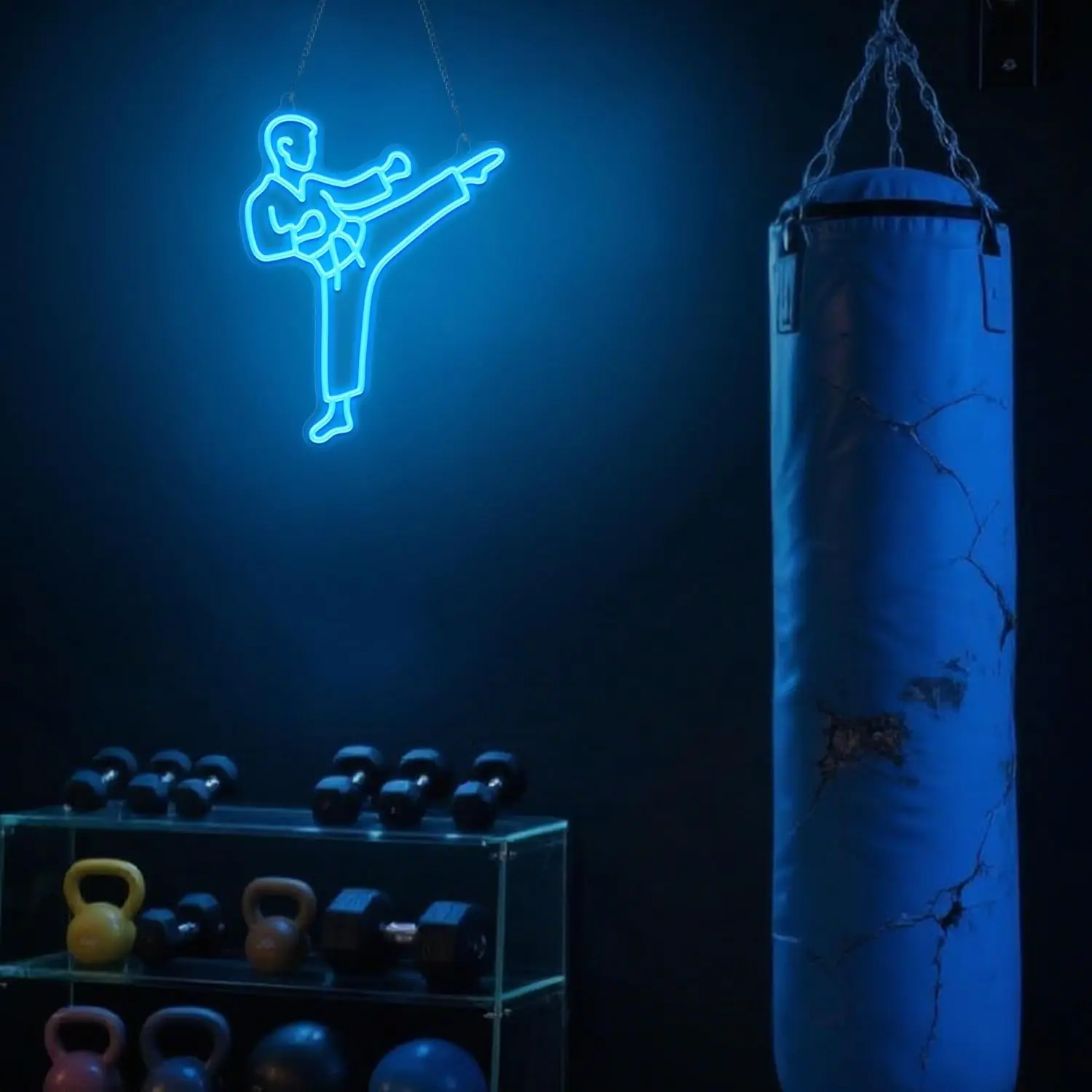 Karate Man Neon Sign Blue LED  - đánh giá và giá Home Gym Neon Sign